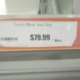 Conch Meat (Box 5 lbs)