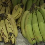 Rip Banana