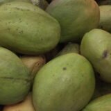 Julie Mango